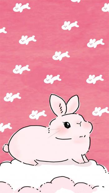 小猪图片 _ 第(3)张