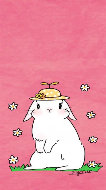小猪图片 _ 第(8)张