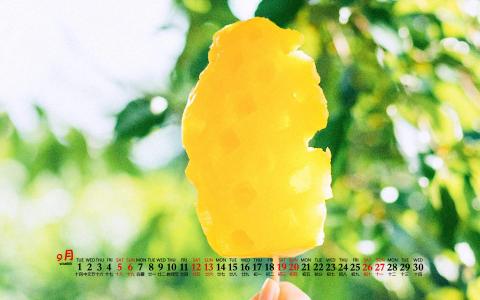 2020年11月帆布鞋草地草帽清新桌面日历壁纸第1张