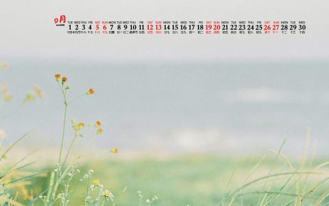 2020年11月帆布鞋草地草帽清新桌面日历壁纸第4张