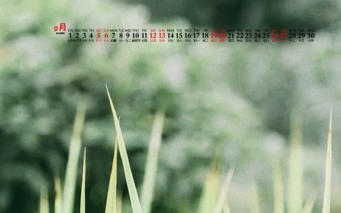 2020年11月帆布鞋草地草帽清新桌面日历壁纸第5张