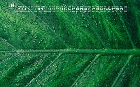 护眼桌面壁纸图片 _ 第(6)张