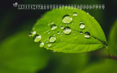 护眼桌面壁纸图片 _ 第(7)张