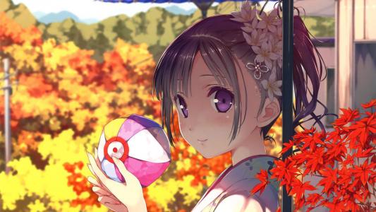 梨花图片图片 _ 第(2)张