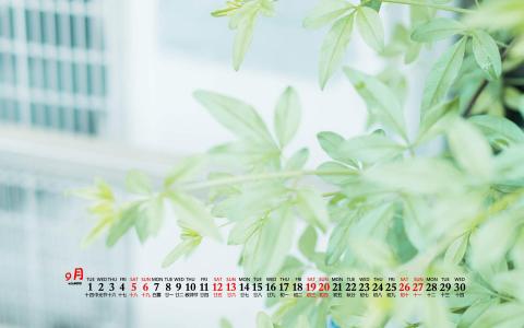 清新护眼自然风光高清图片第5张