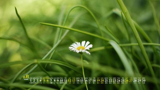 图片 _ 第(2)张