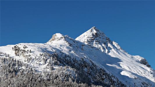 雪景图片 _ 第(8)张