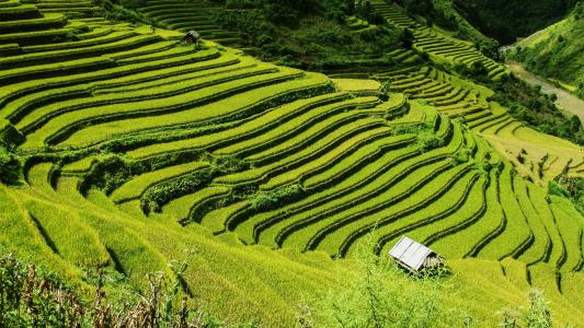 清新护眼高清风景图片第5张