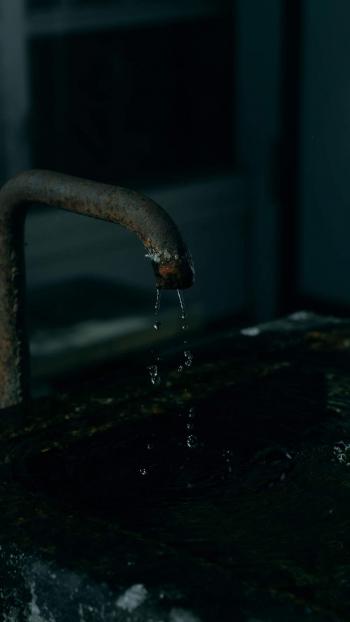 清新绿色植物图片手机壁纸第4张