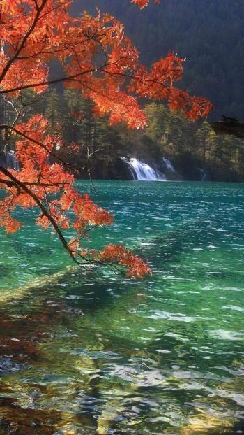 高清美景九寨沟唯美自然风景手机壁纸第1张