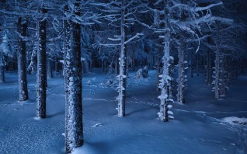 冯若绮清新雪景写真图片第3张