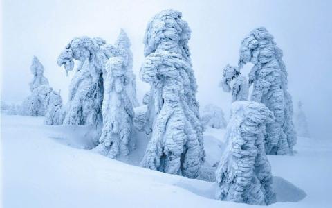 冯若绮清新雪景写真图片第4张