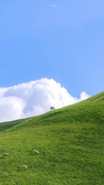 护眼桌面壁纸图片 _ 第(6)张