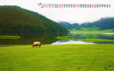 护眼桌面壁纸图片 _ 第(5)张