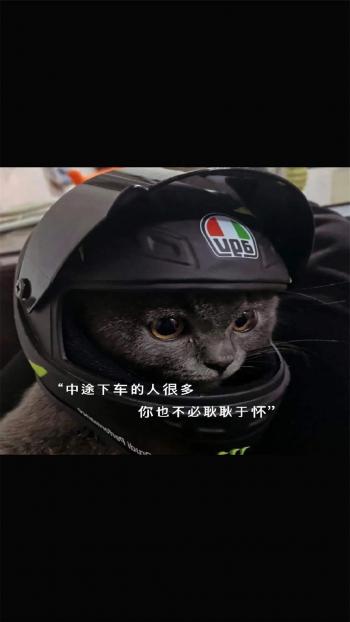 文字控图片 _ 第(12)张