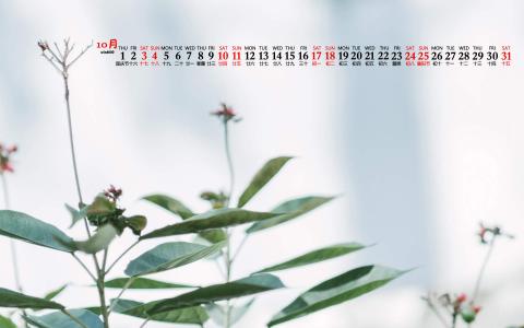 护眼桌面壁纸图片 _ 第(3)张