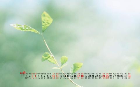 护眼桌面壁纸图片 _ 第(9)张