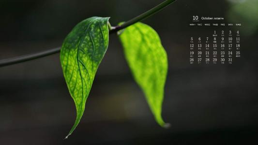 护眼桌面壁纸图片 _ 第(4)张