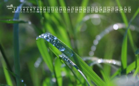 清新护眼自然风光高清图片第3张