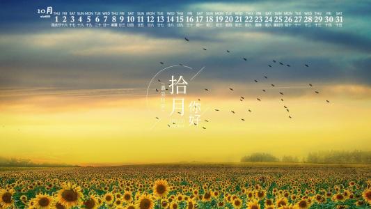 向日葵图片 _ 第(5)张