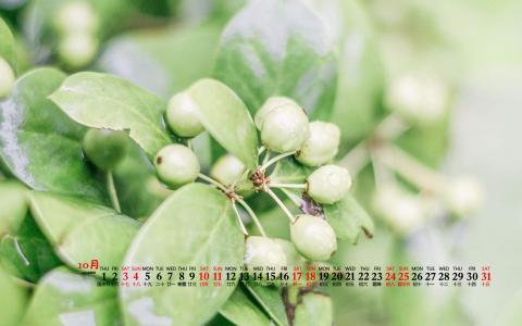 清新桌面图片 _ 第(4)张