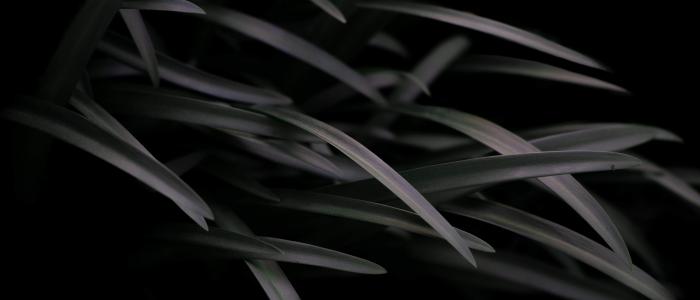 清新护眼自然风光高清图片第1张