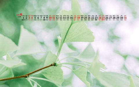 护眼桌面壁纸图片 _ 第(5)张