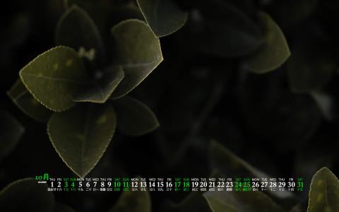 清新护眼高清风景图片第0张
