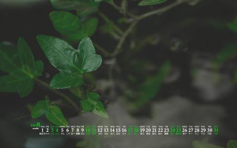 清新护眼高清风景图片第1张