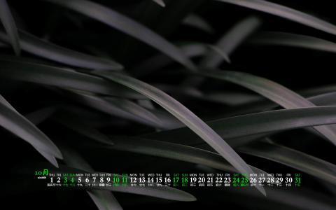 清新护眼高清风景图片第5张