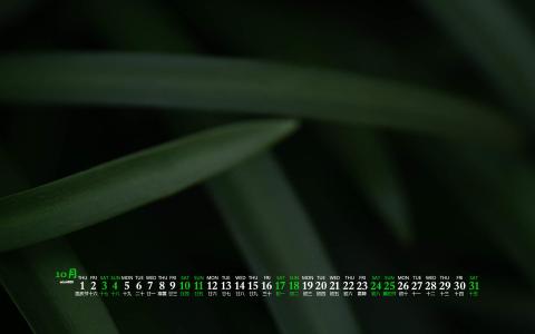 清新护眼高清风景图片第6张