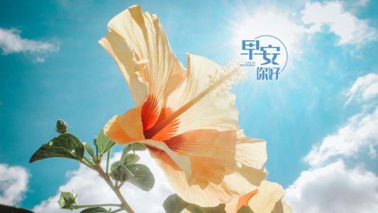 精选自然风景高清图片壁纸第1张