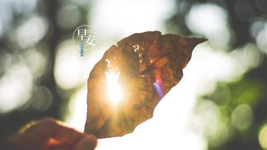 精选自然风景高清图片壁纸第5张