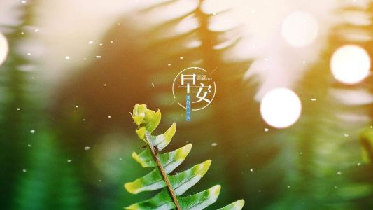 自然风景图片 _ 第(9)张