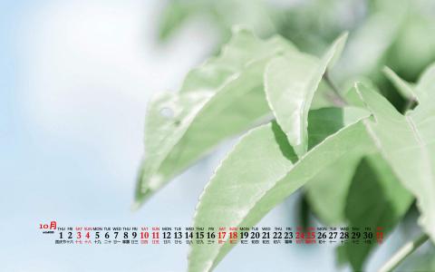 图片 _ 第(1)张