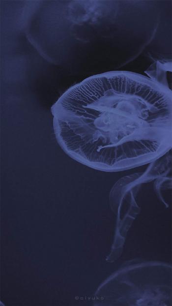 第1张