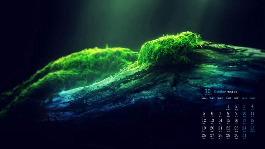 清新护眼自然风光高清图片第6张
