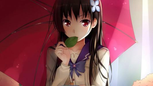 日本动漫《犬夜叉》杀生丸高清卡通桌面壁纸第4张