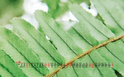 图片 _ 第(3)张