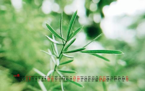 图片 _ 第(4)张