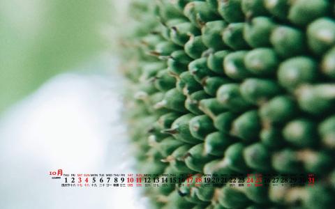 图片 _ 第(5)张