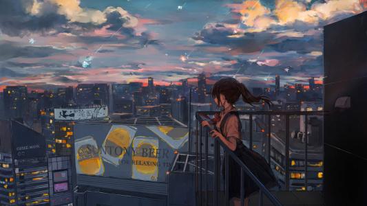 Re:0动漫美女软萌可爱蕾姆手机壁纸第3张