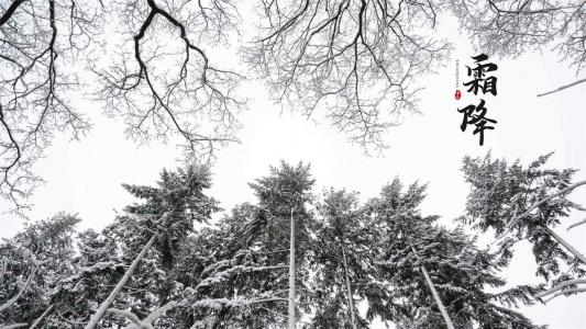 雪景图片 _ 第(2)张