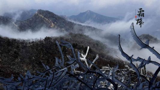 雪景图片 _ 第(3)张