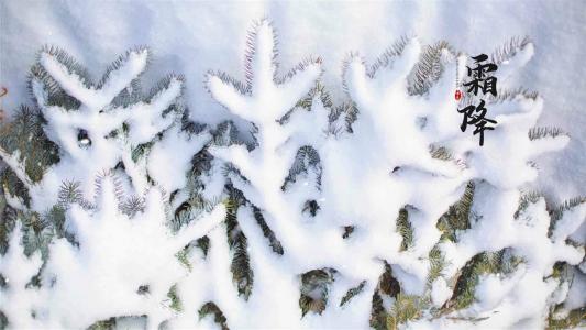 雪景图片 _ 第(5)张