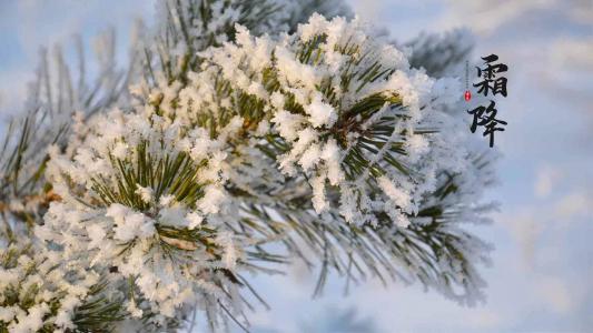 雪景图片 _ 第(9)张