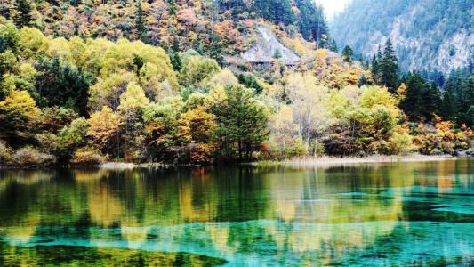 高清美景九寨沟唯美自然风景手机壁纸第6张