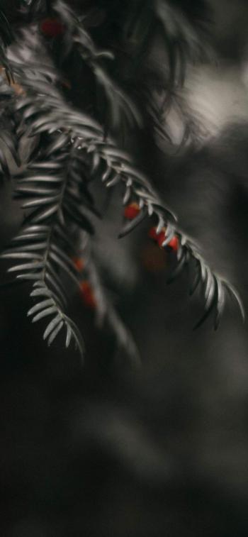 图片 _ 第(3)张