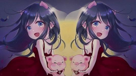 第1张