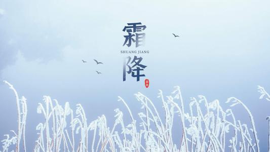 24节气霜降优美风景电脑壁纸第0张